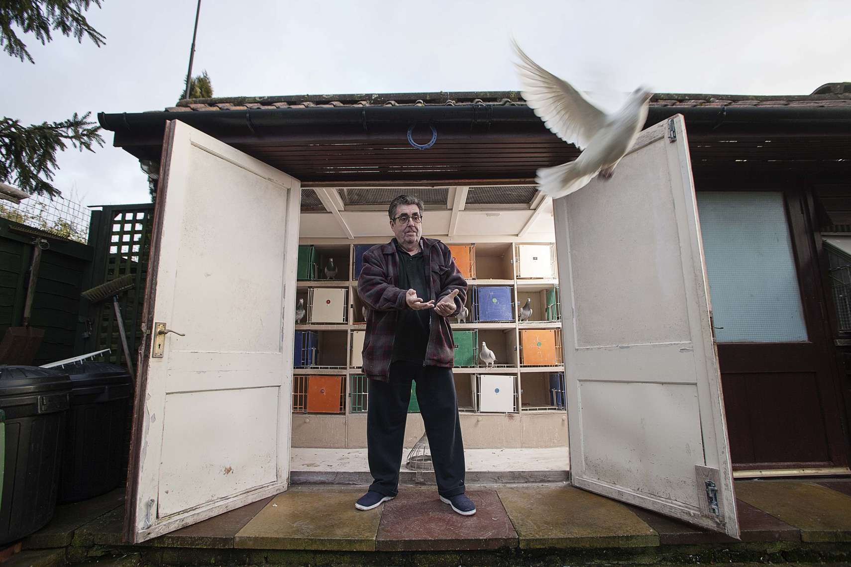CountryLife_Cannon_ColinHill_PigeonFancier072