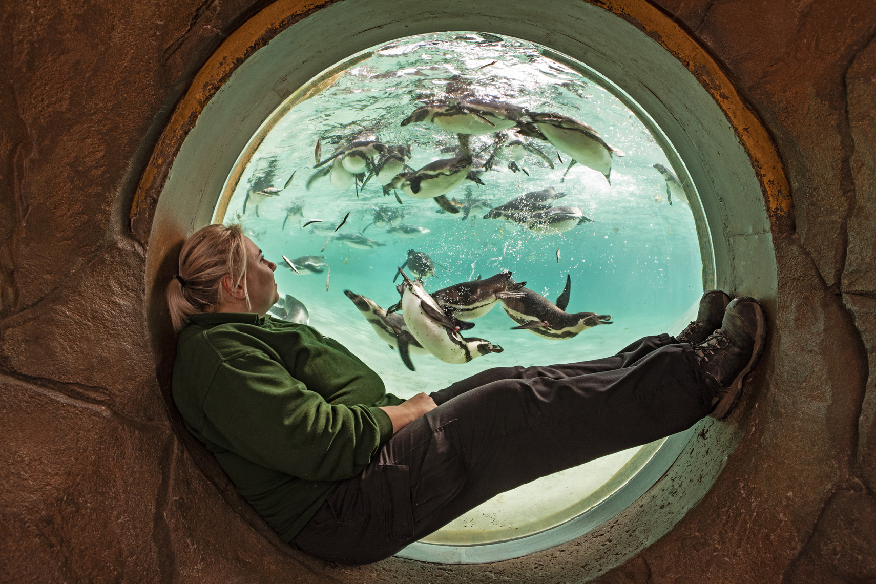 CountryLife_Cannon_LondonZooPenguins_001142