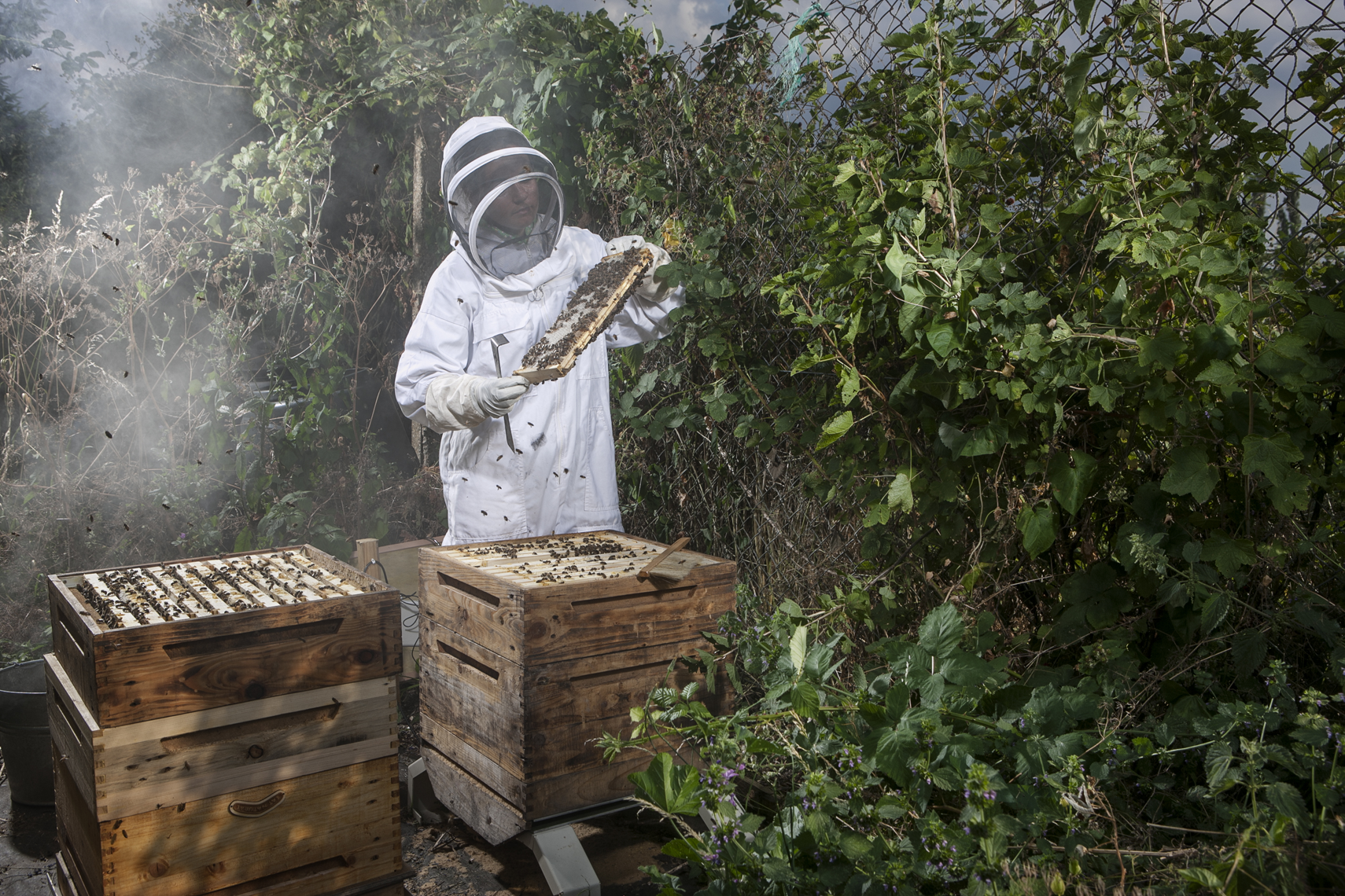 CountryLife_cannon_BeeKeeper065
